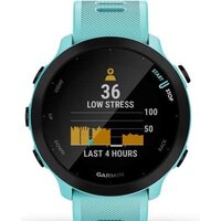 Умные часы Garmin Forerunner 55 (бирюзовый)