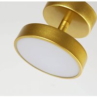 Припотолочная люстра Favourite 3059-1P