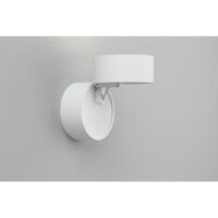 Спот Omnilux Lenno OML-101309-12