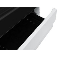 Кухонная плита Hansa FCMW580957