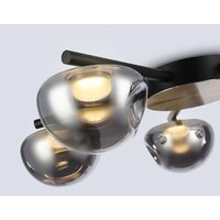 Припотолочная люстра Ambrella light LH12009/5 BK/GD/SM (черный/золото/дымчатый)
