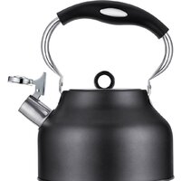 Чайник со свистком Regent Inox 93-TEA-49