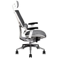 Офисное кресло Thermaltake CyberChair E500 GGC-EG5-BWLFDM-01 (серый)