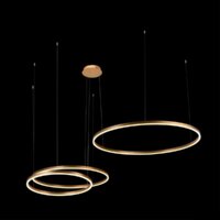 Подвесная люстра LOFT IT Ring 10017/3M