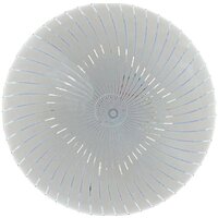 Светильники, люстры, бра, споты General Lighting Onix GSMCL-012-18 800236