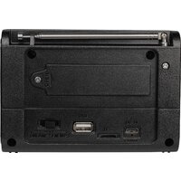 Радиоприемник Ritmix RPR-020