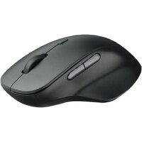 Мышь Rapoo M50 Plus (черный)