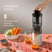 Соковыжималка Tuvio TJ04PM