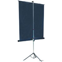 Проекционный экран Lumien Master View 153x203 (LMV-100107)