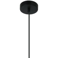 Подвесная люстра Favourite Sonnenblume 2356-2P