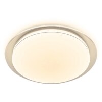 Светильник-тарелка Ambrella light FZ1048 (белый)