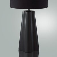Настольная лампа Lumion Hinami 8124/1T