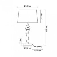 Настольная лампа Odeon Light Homi 5040/1T