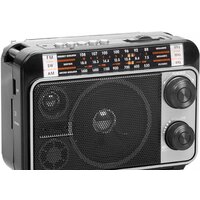 Радиоприемник Ritmix RPR-171