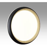 Припотолочная люстра Sonex Pale 7651/DL