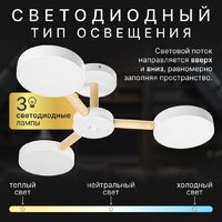 Припотолочная люстра Sundays Home 240924-22 5849