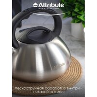 Чайник со свистком Attribute Duet ASD004