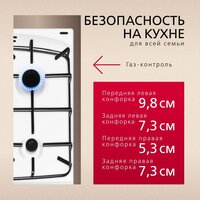 Кухонная плита Hansa FCGW510009H