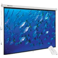 Проекционный экран BRAUBERG Moto 4:3 (180x240) 236734