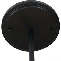 Подвесная люстра Элетех Тефия 241 НСБ 01-4х40-101 1005405125 (черный)