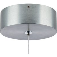 Подвесная люстра Lightstar Colore 805405