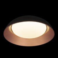 Припотолочная люстра LOFT IT Cappello 10229 (черный)
