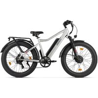 Электровелосипед Eltreco BigCat Dual Next (серый)