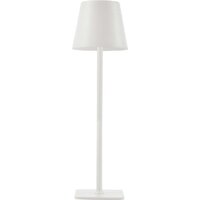 Настольная лампа F-Promo Pyari 4614-1T