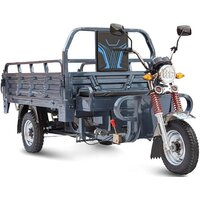 Грузовой электроскутер Rutrike Титан 2000 60V 1500W (серый)