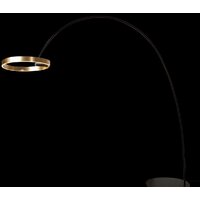 Торшер LOFT IT Ring 10027