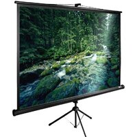 Проекционный экран CACTUS TriExpert 165x220 CS-PSTE-220X165-BK