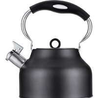 Чайник со свистком Regent Inox 93-TEA-49