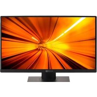 Моноблок ТЕСЛА P24BP 2416500