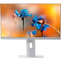 Моноблок ТЕСЛА P24WP 2116500