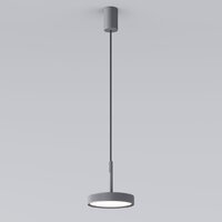 Подвесная люстра Elektrostandard Plate 50260 LED (графит)
