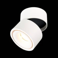 Припотолочная люстра ST Luce ST652 ST652.532.12