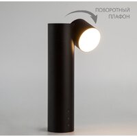 Настольная лампа Евросвет 80425/1 (черный)