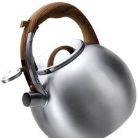 Чайник со свистком Lara LR00-82