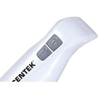Погружной блендер CENTEK CT-1341 (белый)