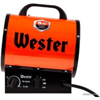 Электрическая тепловая пушка Wester TB-5000