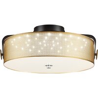 Светильники, люстры, бра, споты Lumion Drumy 6597/40L