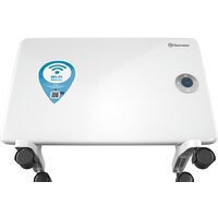 Конвектор Thermex Frame 1000E Wi-Fi
