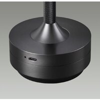 Настольная лампа Odeon Light Tet-A-Tet 5034/6TL