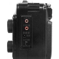 Радиоприемник Ritmix RPR-171