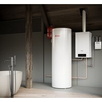 Отопительный котел Thermex Sirius PM28