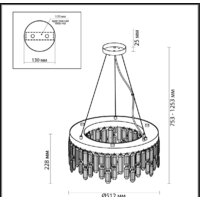 Подвесная люстра Odeon Light Dakisa 4985/6