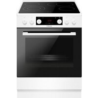 Кухонная плита Hansa FCCW69493