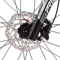 Велосипед Stinger Graphite Evo 29 LG 2025 (синий)