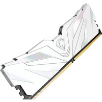 Оперативная память Netac Shadow II White 16ГБ DDR4 3200МГц NTSWD4P32SP-16W