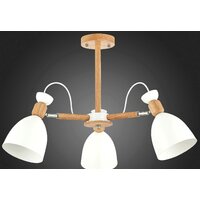 Люстра средней высоты Evoluce Balcamo SLE103802-03